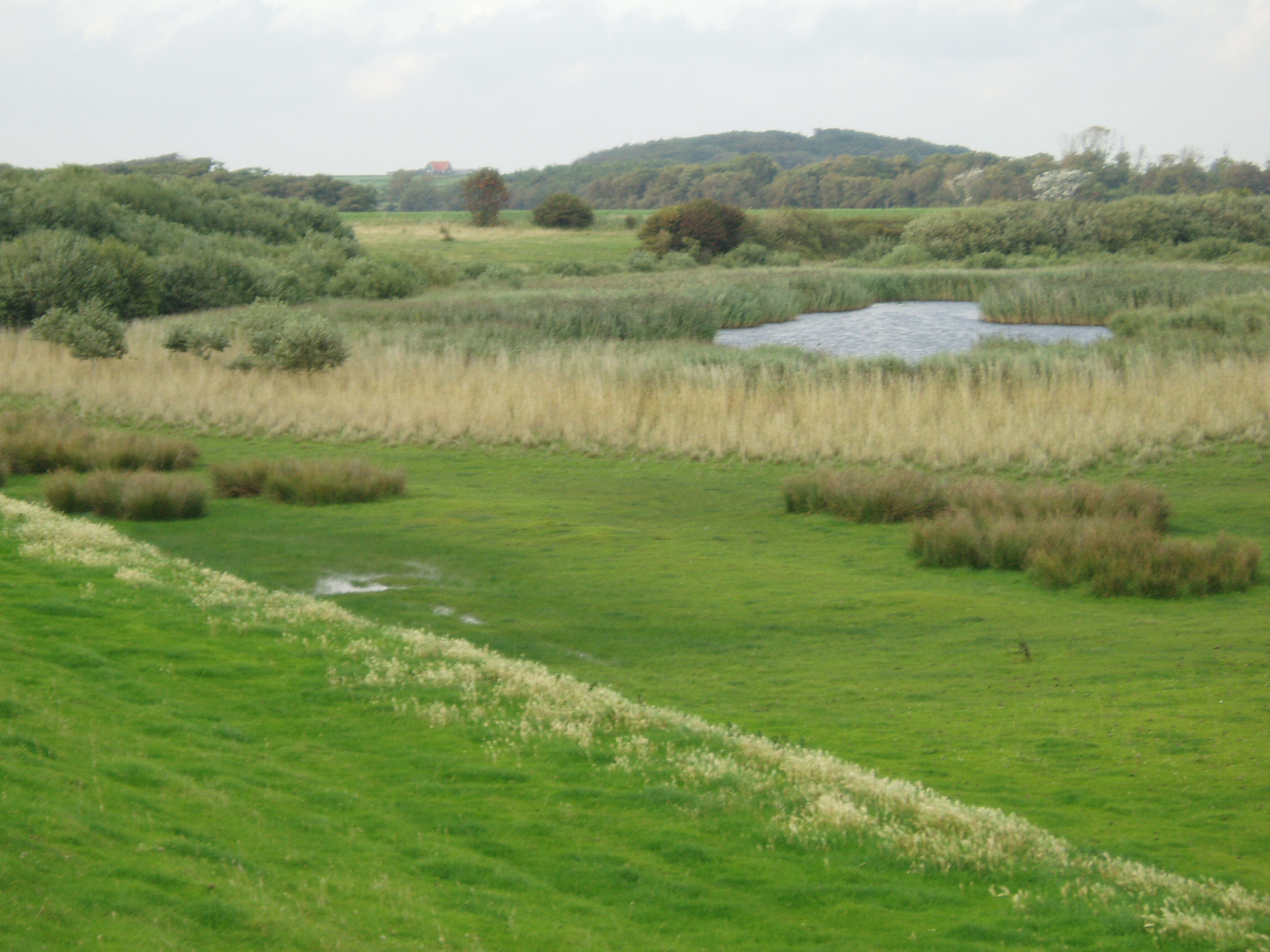 polder Texel