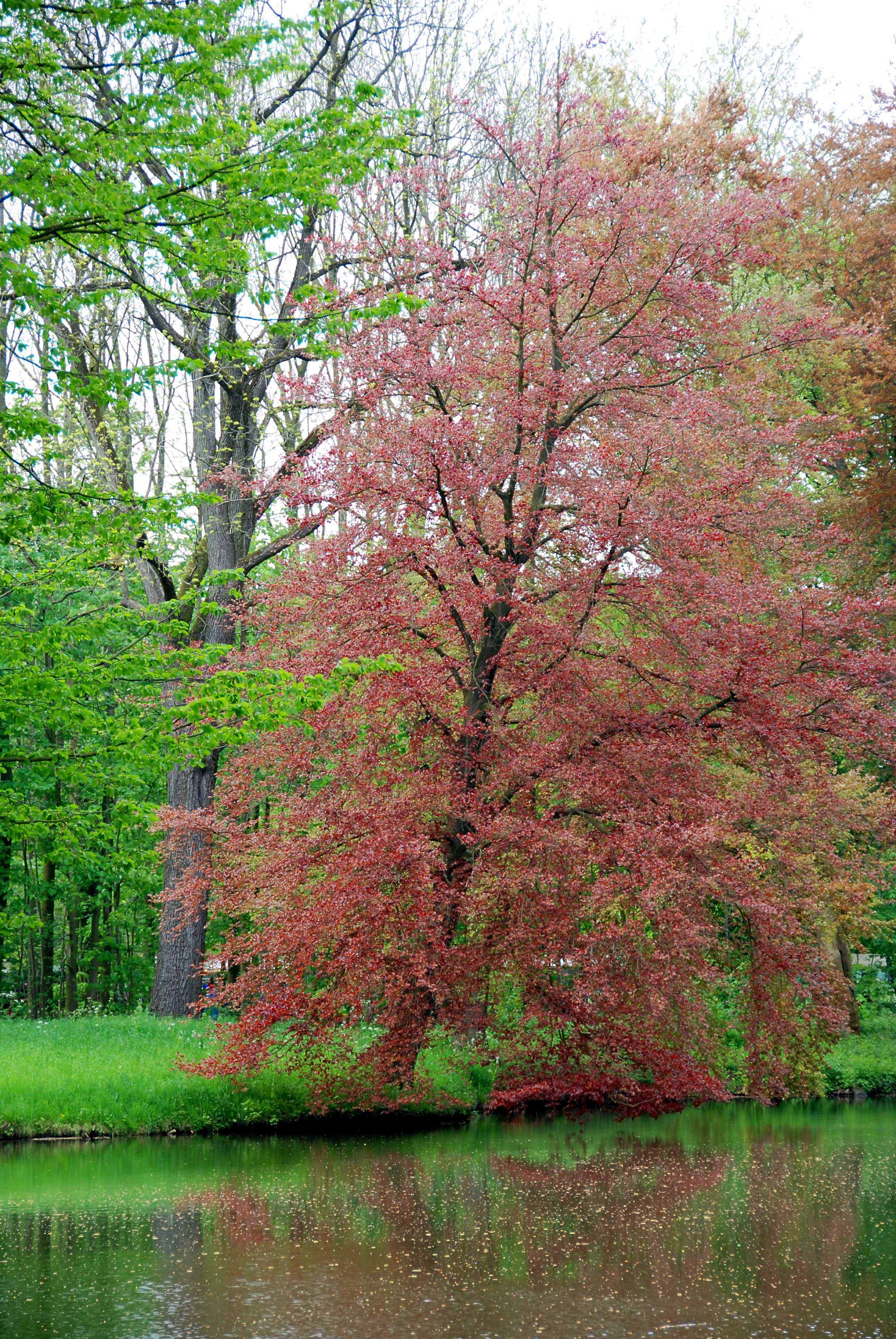 kasteel park van kasteel de Haar