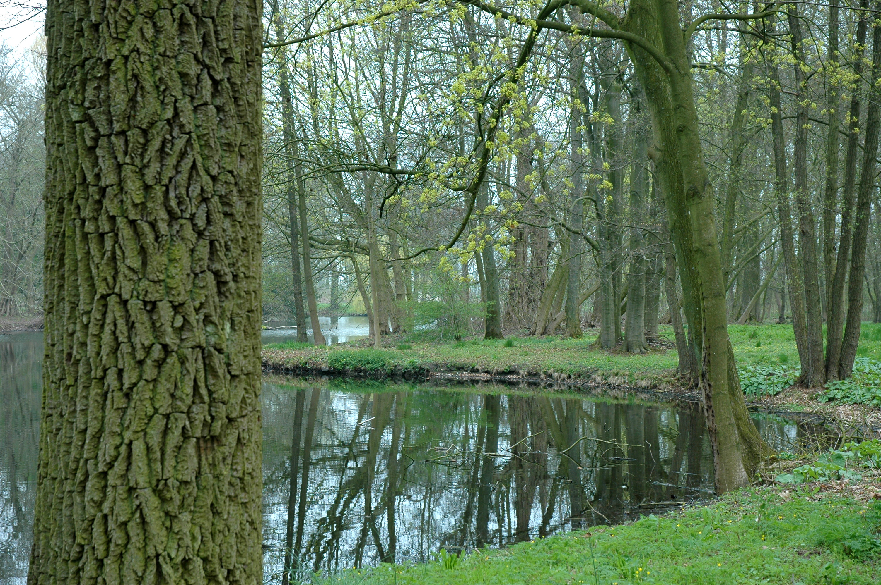 kasteeltuin kasteel de Haar in Haarzuilens