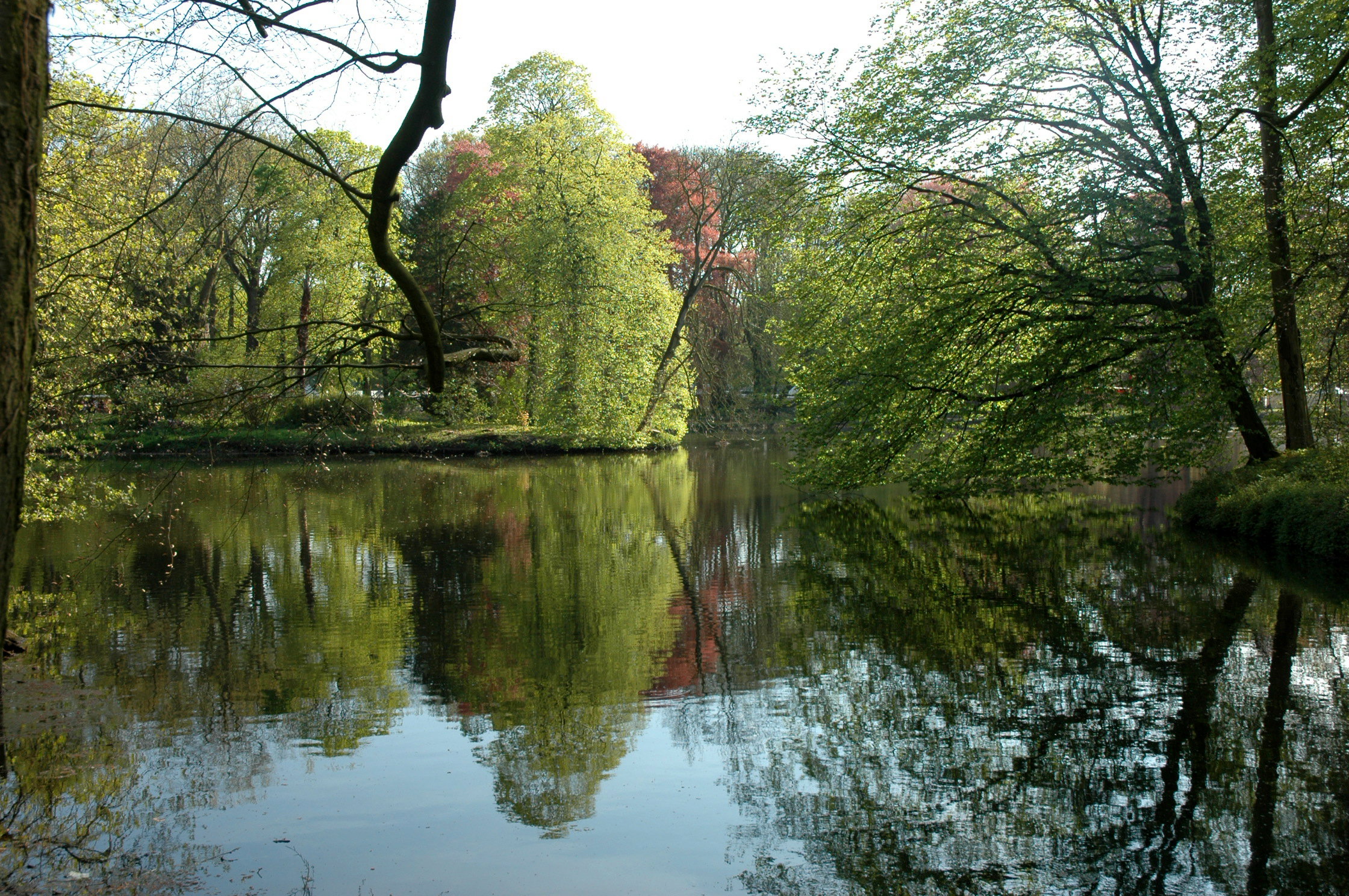 kasteeltuin van kasteel de Haar