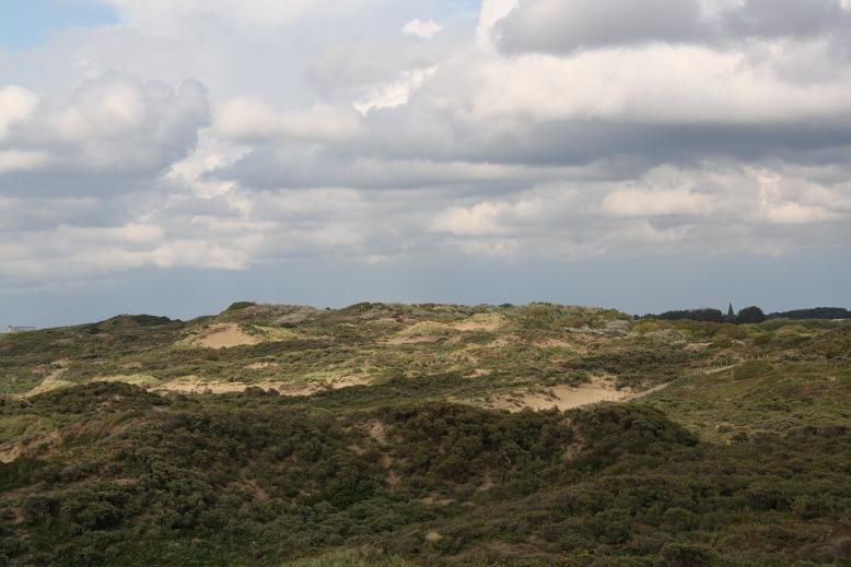 Duinen vanaf Kijkduin