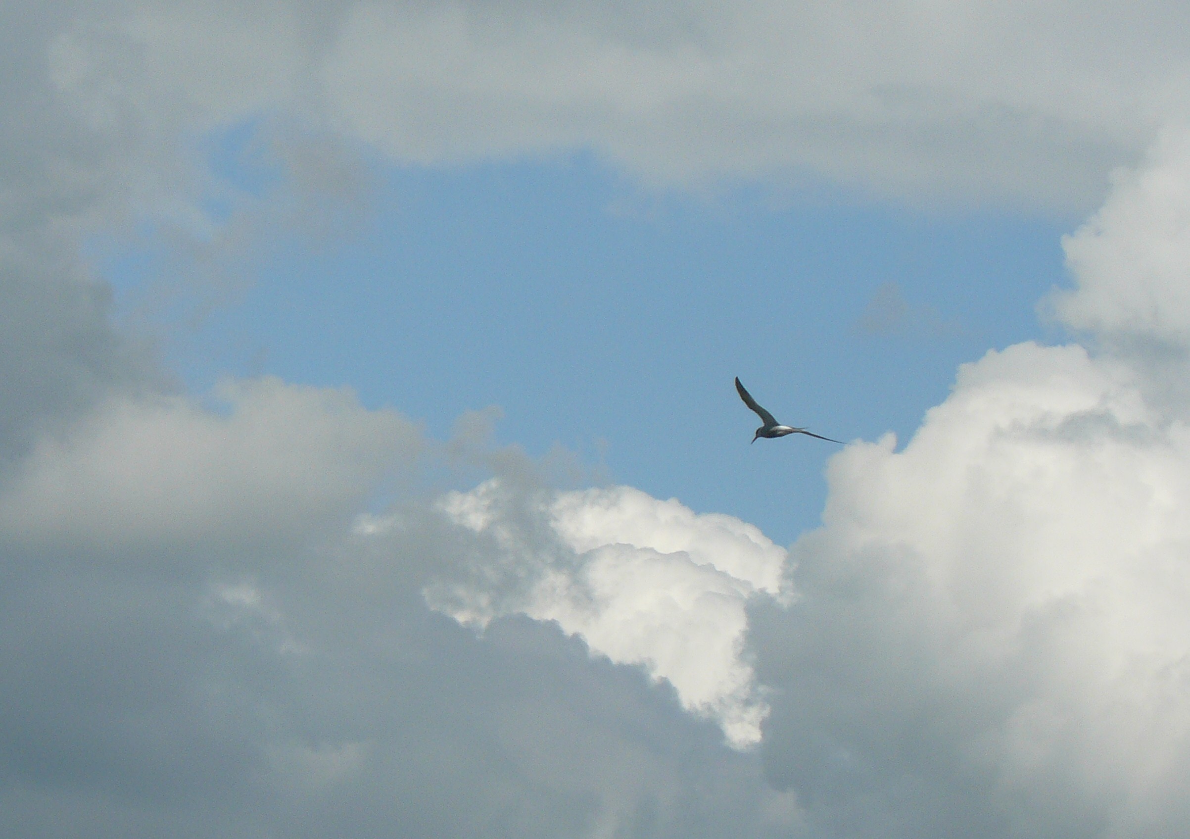 op weg naar open lucht