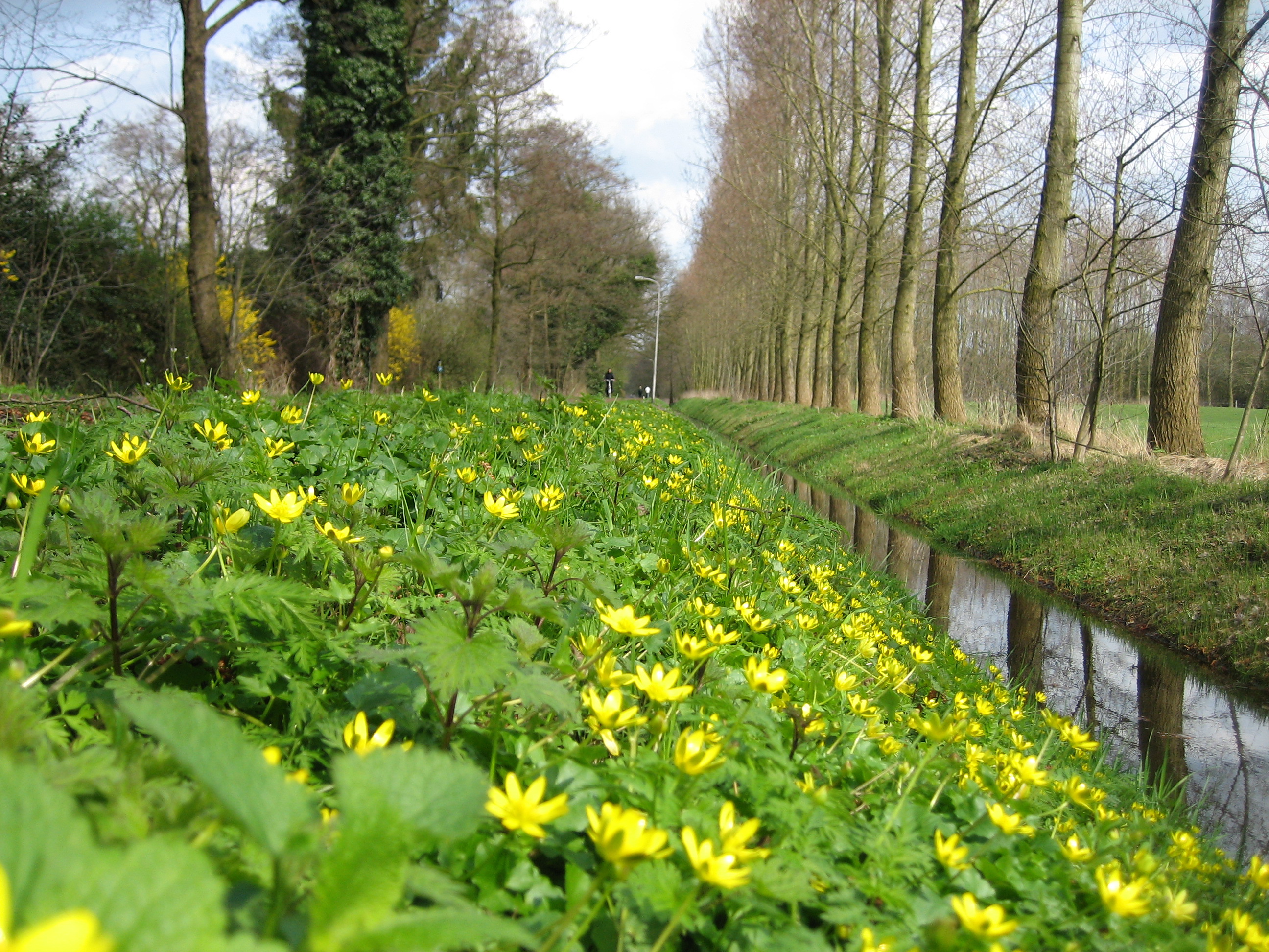 Lente schoon