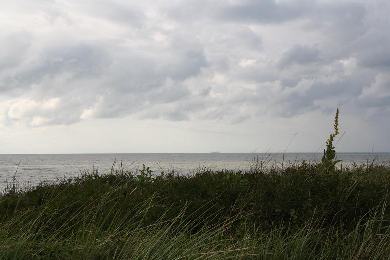duinen achter de zee