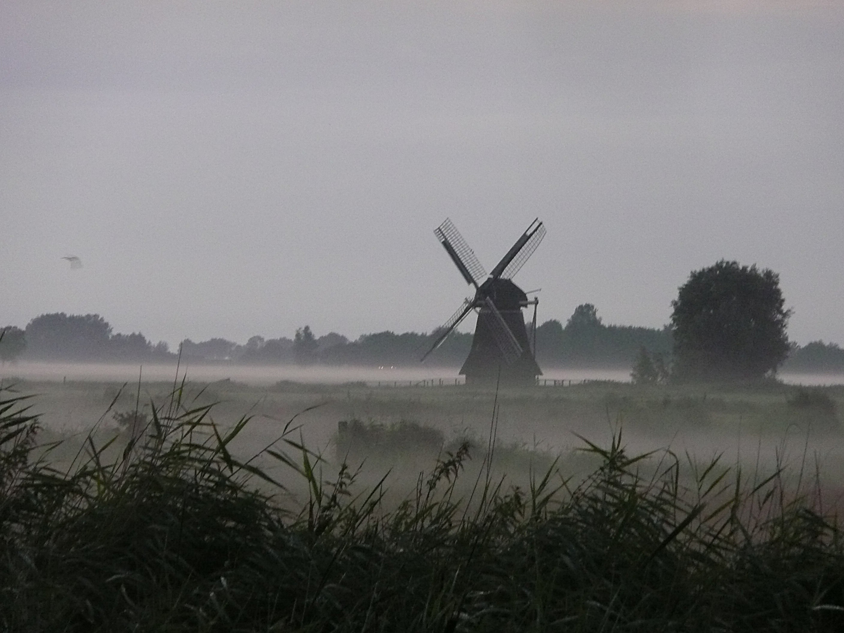 Bijna donker, de nevel trekt op