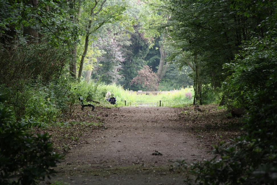 doorkijk