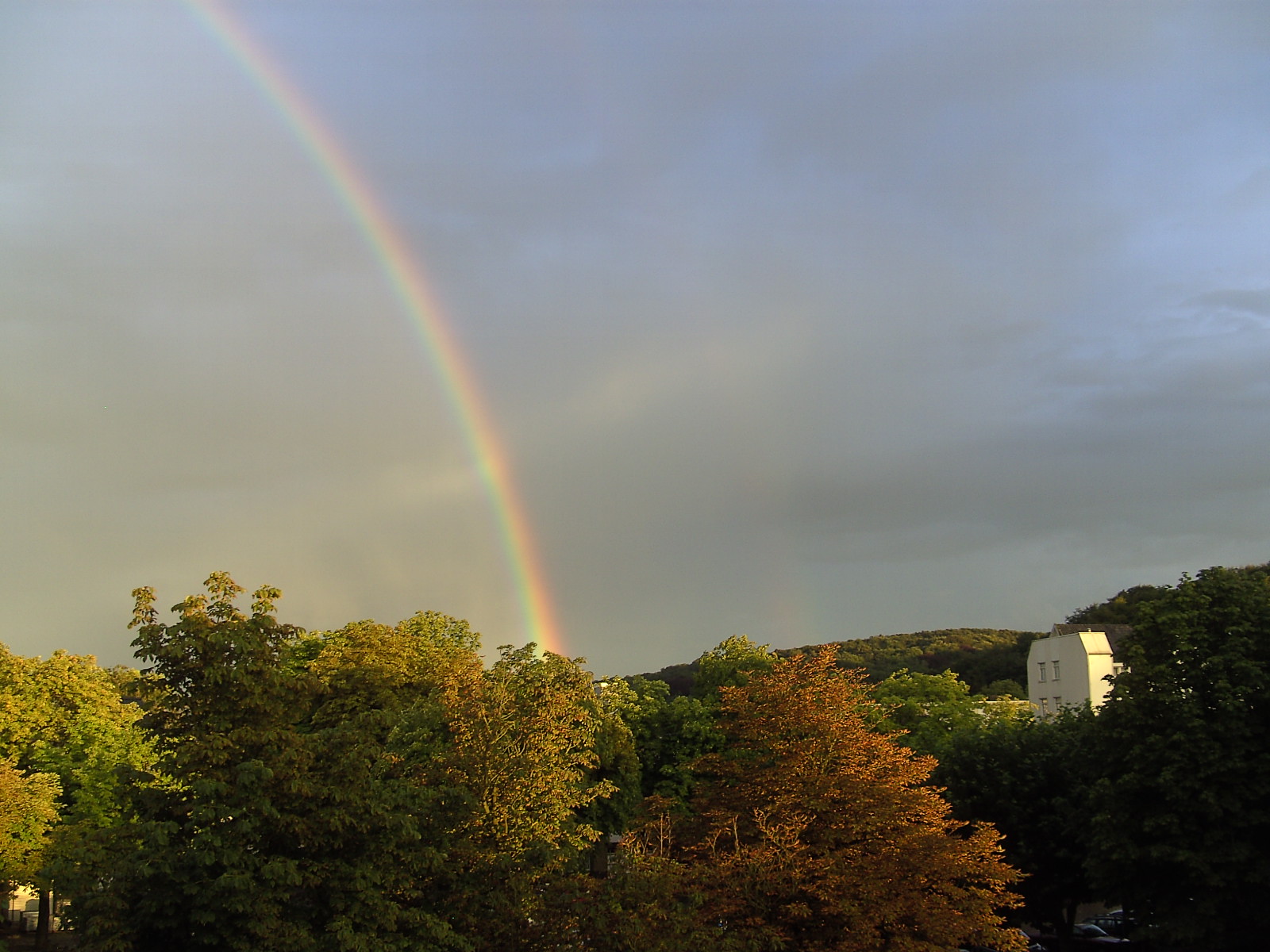 regenboog boven kastanje bomen te valkenburg