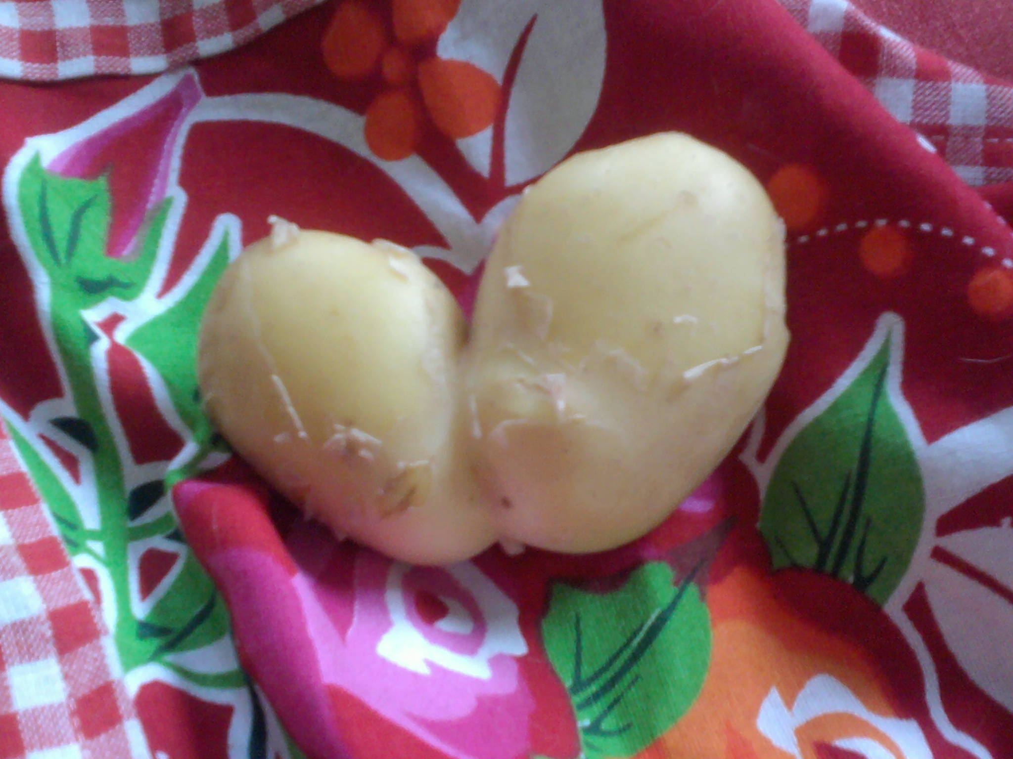 Aardappel(s)