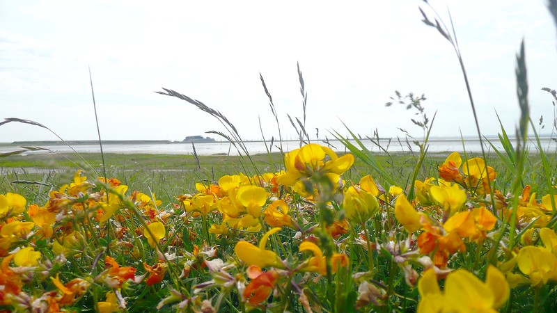 rolklaver bij de Bank van Banck