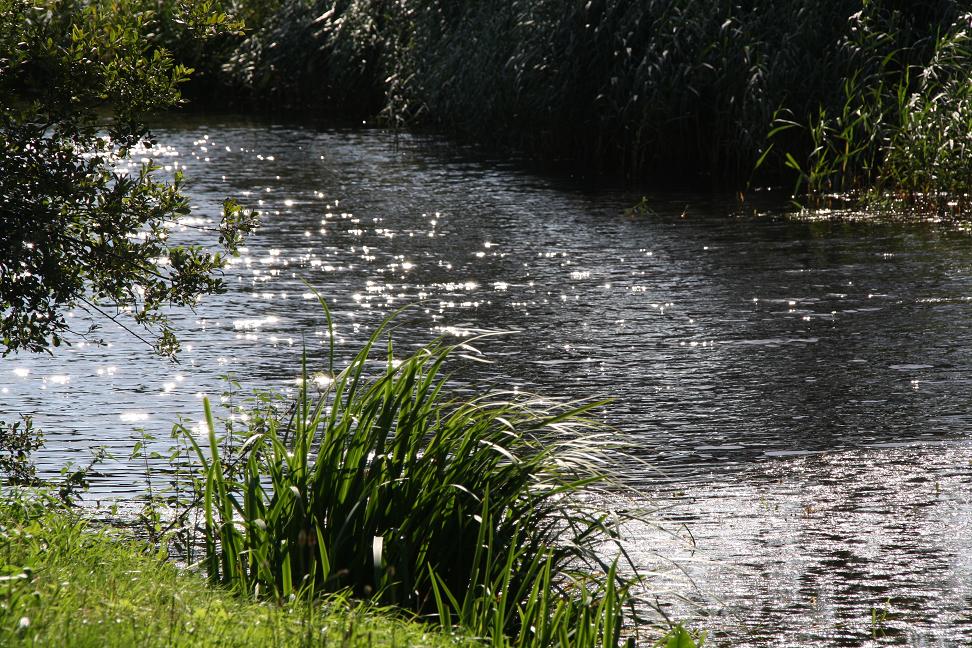 Haagse Beek