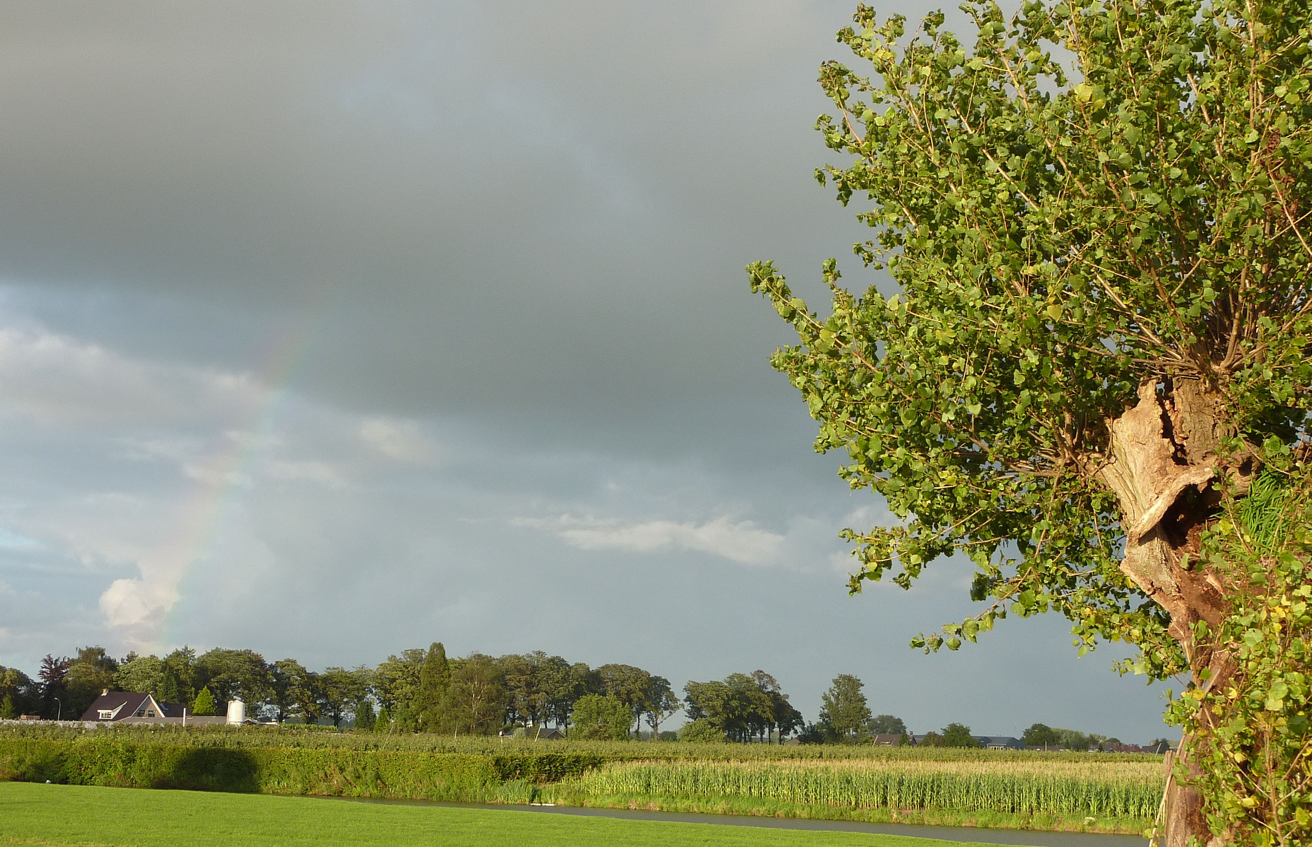 regenboog bij de linge in zoelen