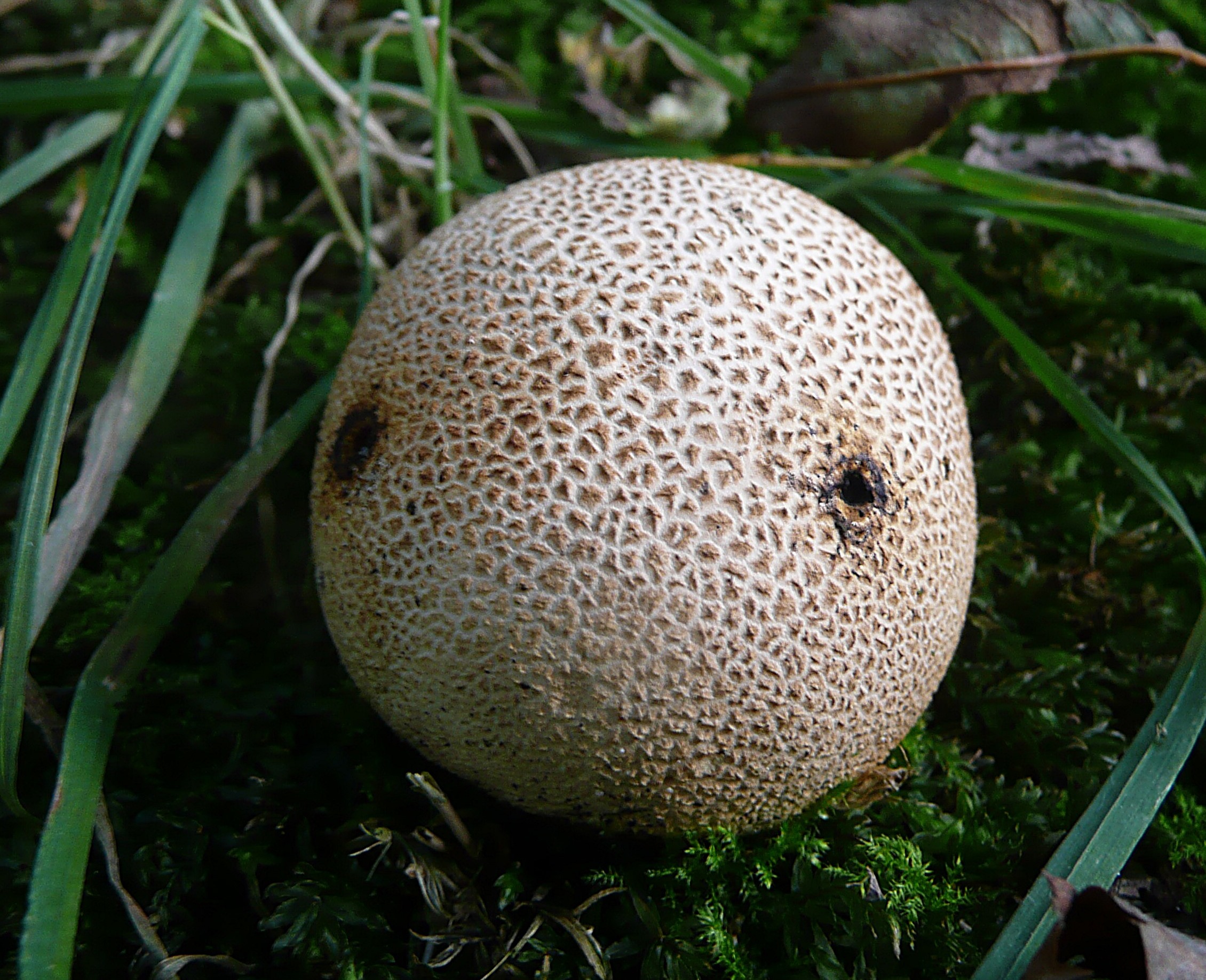 Kijk ik naar jou of jij naar mij