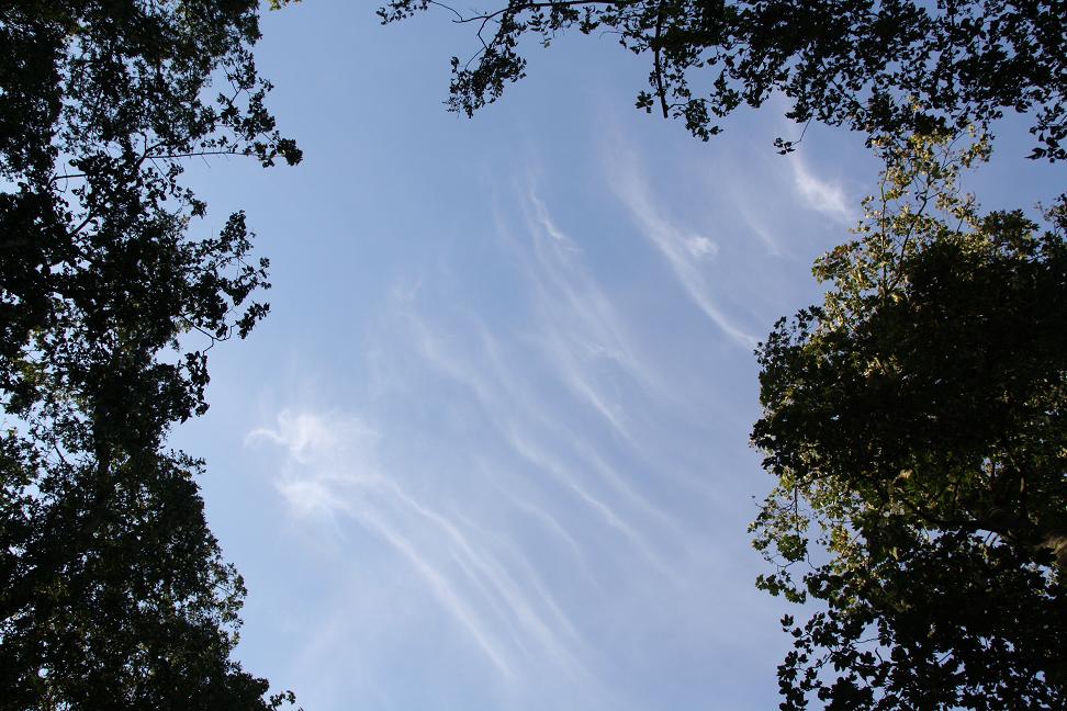 wolkenstrepen