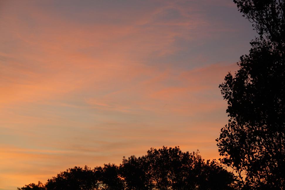 Prachtige avondzon