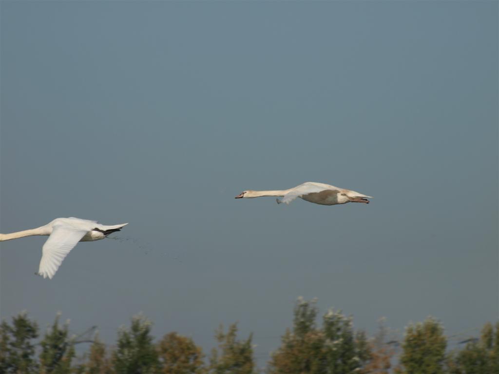 Klaarmaken voor de landing?