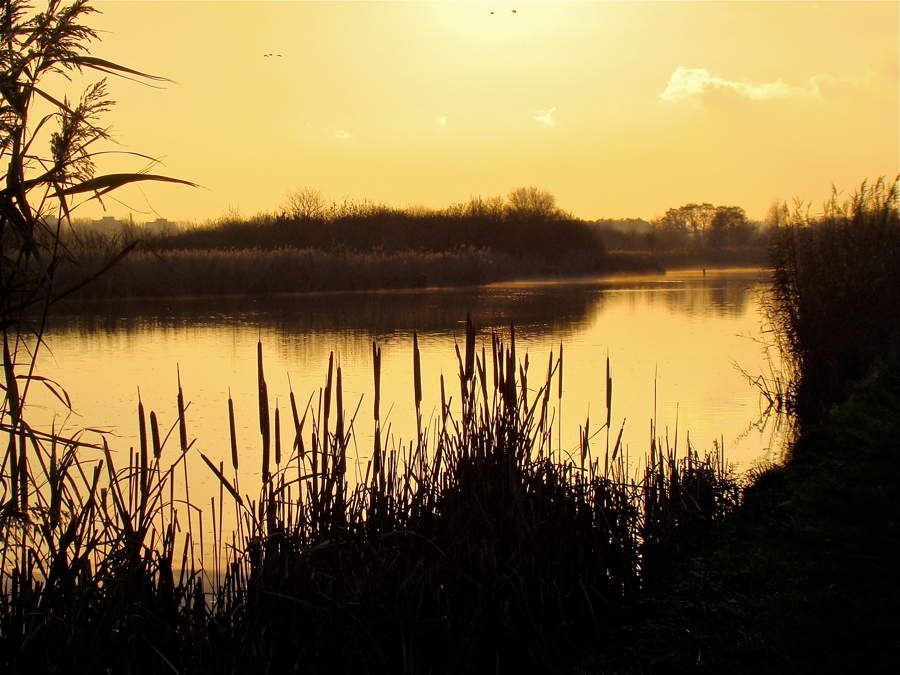 't is niet alles goud wat er blinkt