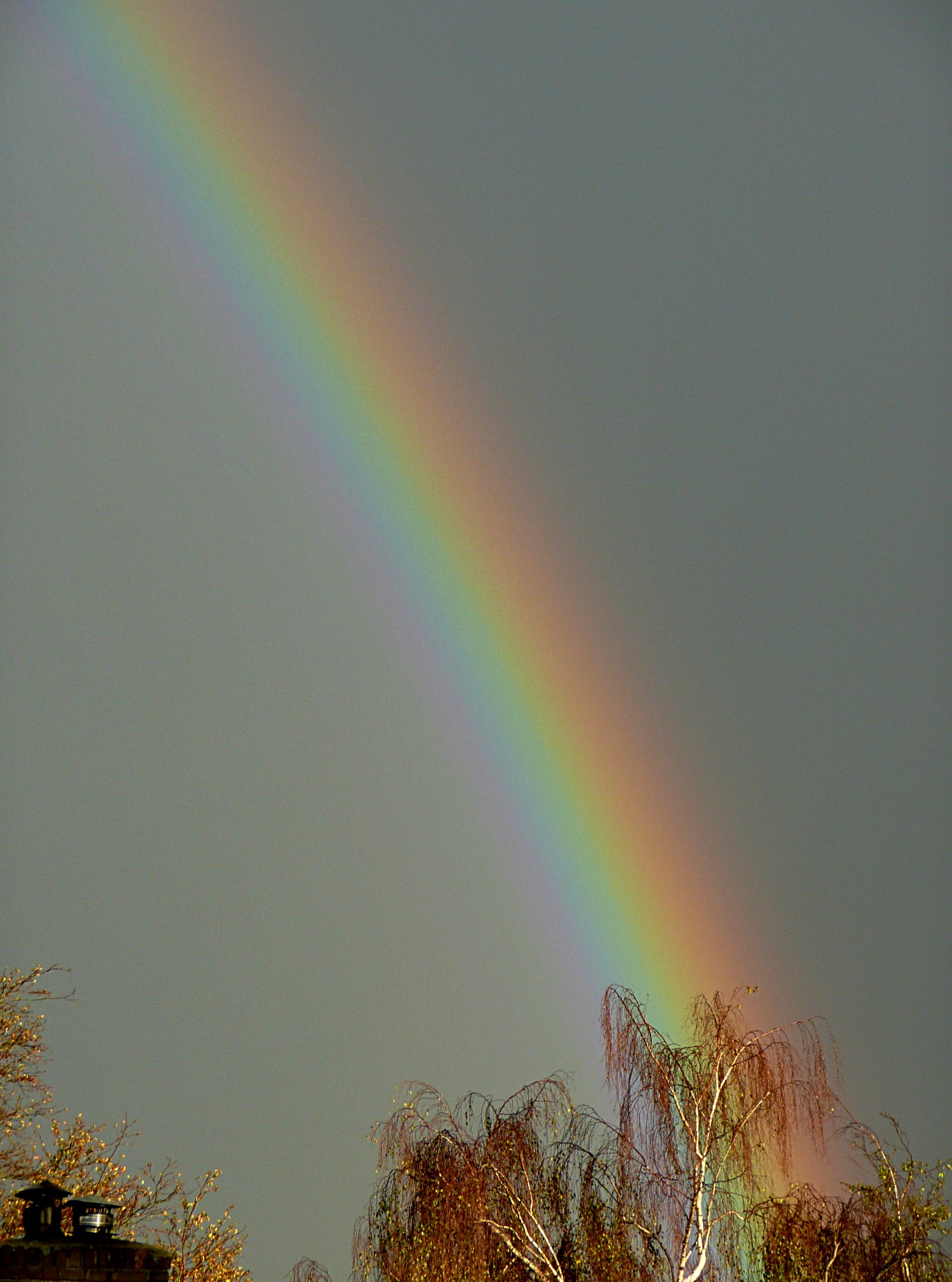 Regenboog2
