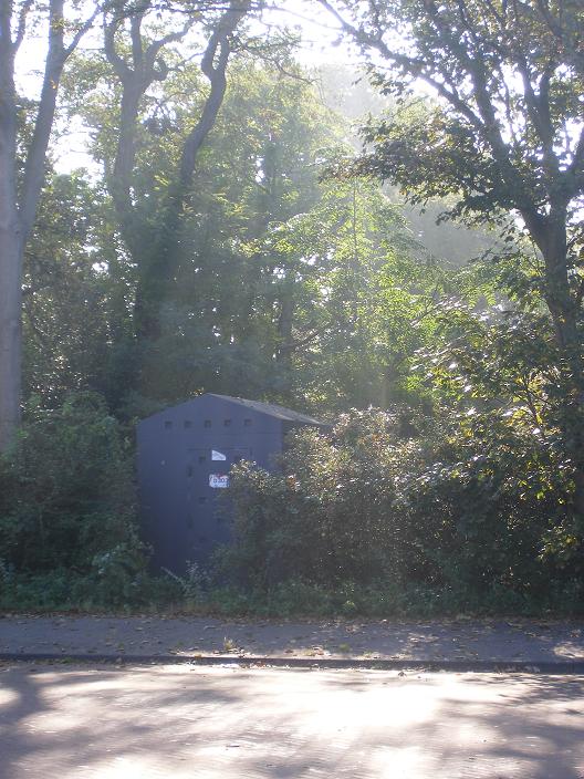 Zonnestralen