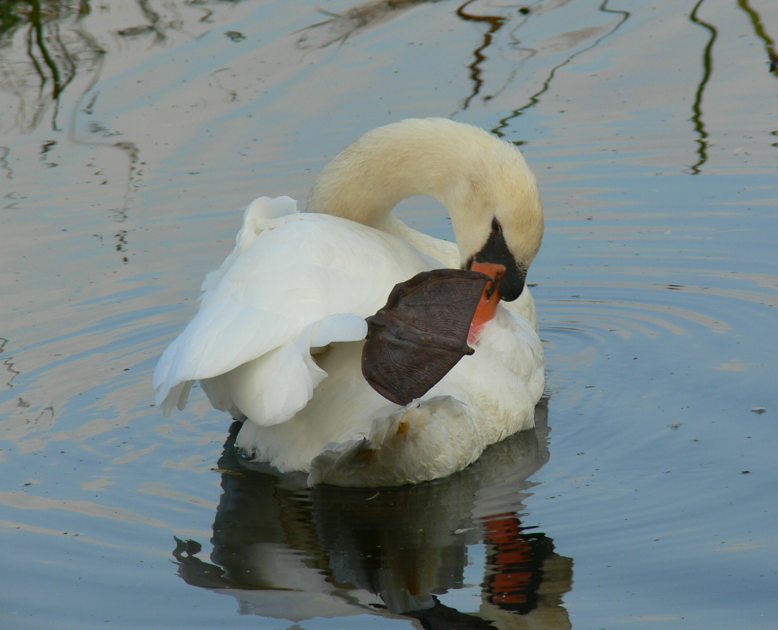 Met de vriendelijke groeten uit......