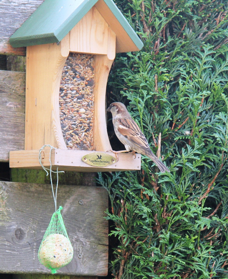 's Even zien....wat zal ik nemen.......?