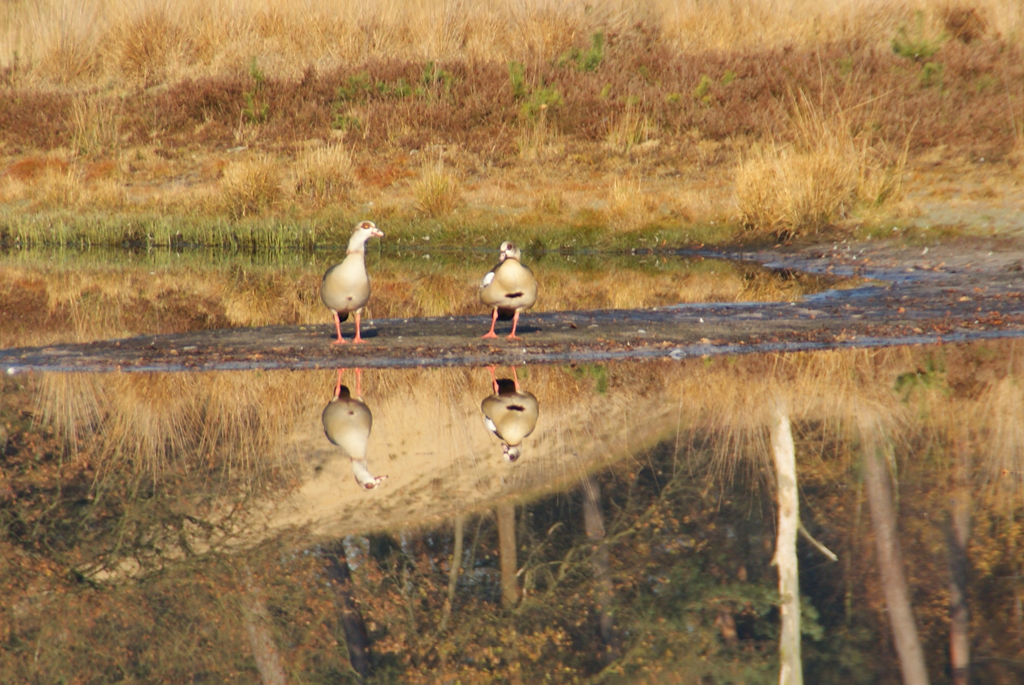 samen naar het water kijken