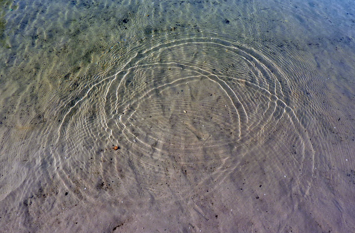 cirkels in het water