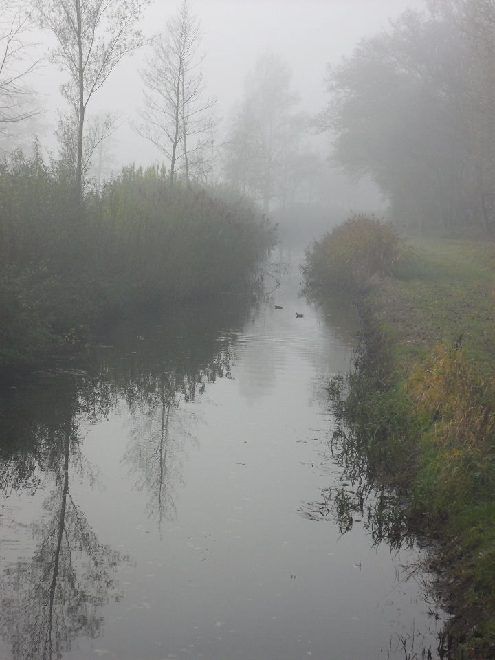 Water en mist