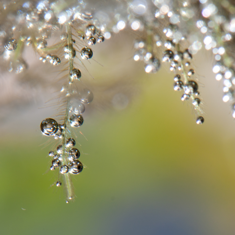 water