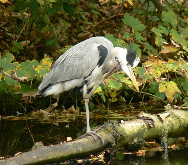 Mmmm, wat staat er vandaag op het menu?
