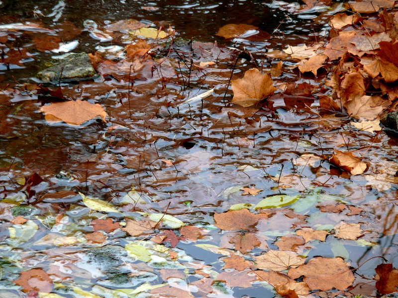 in het water gevallen