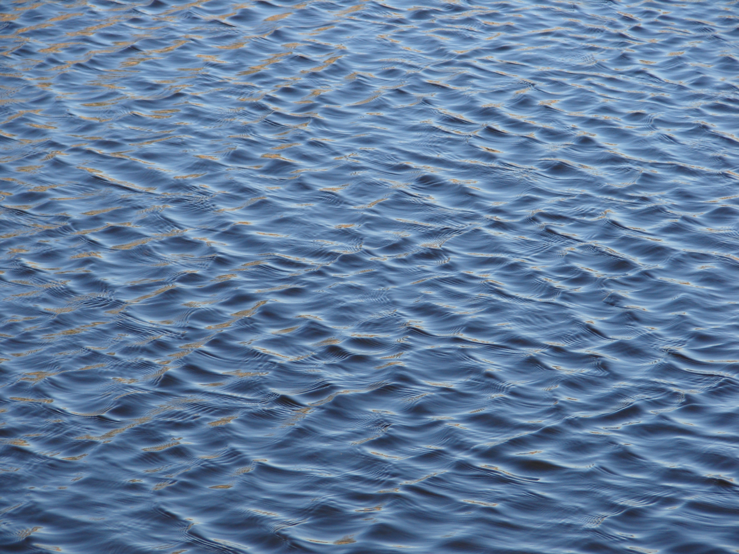 Water