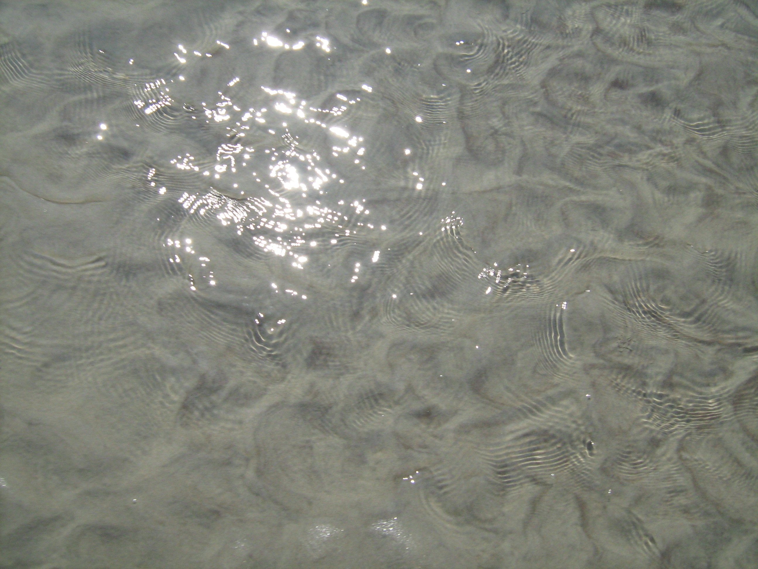 Schiermonnikoog