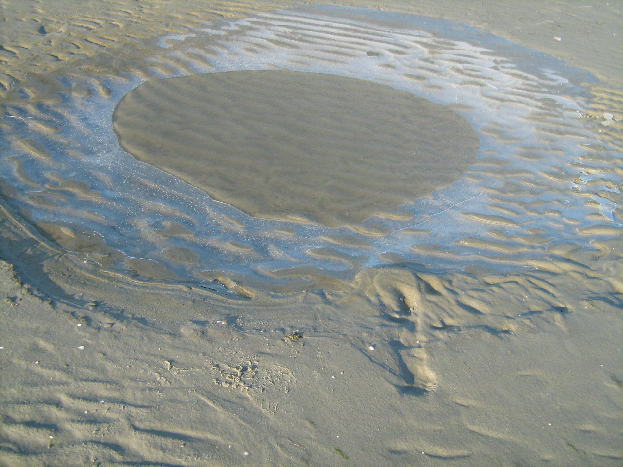 Schiermonnikoog