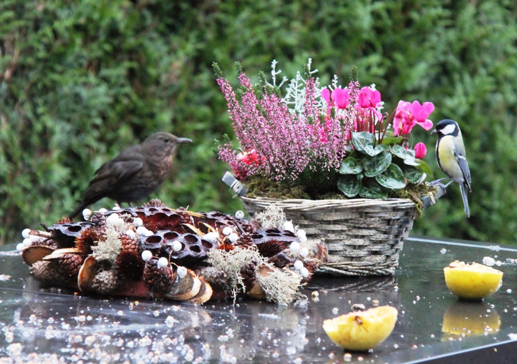 Wel ja...Doe alsof je thuis bent.