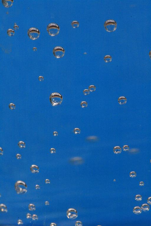 wonderwaterbel