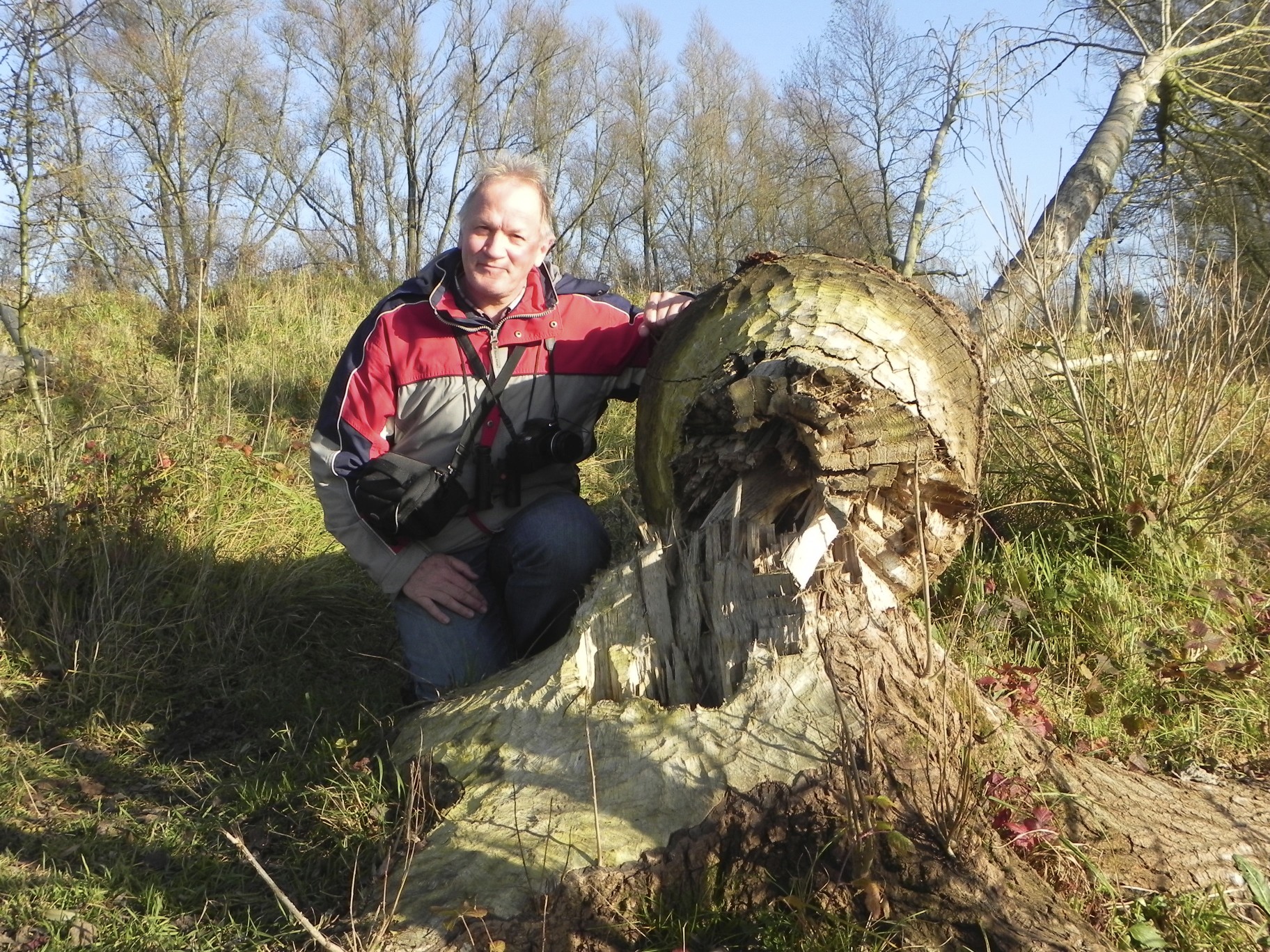 Beversporen Millingerwaard 13