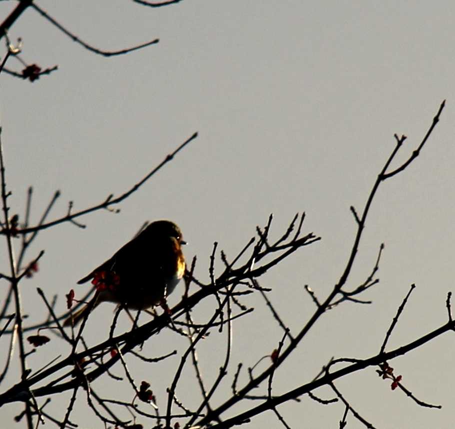 Goodmorning sunshine 