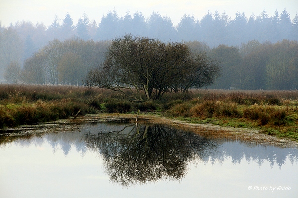 Water-weerspiegeling