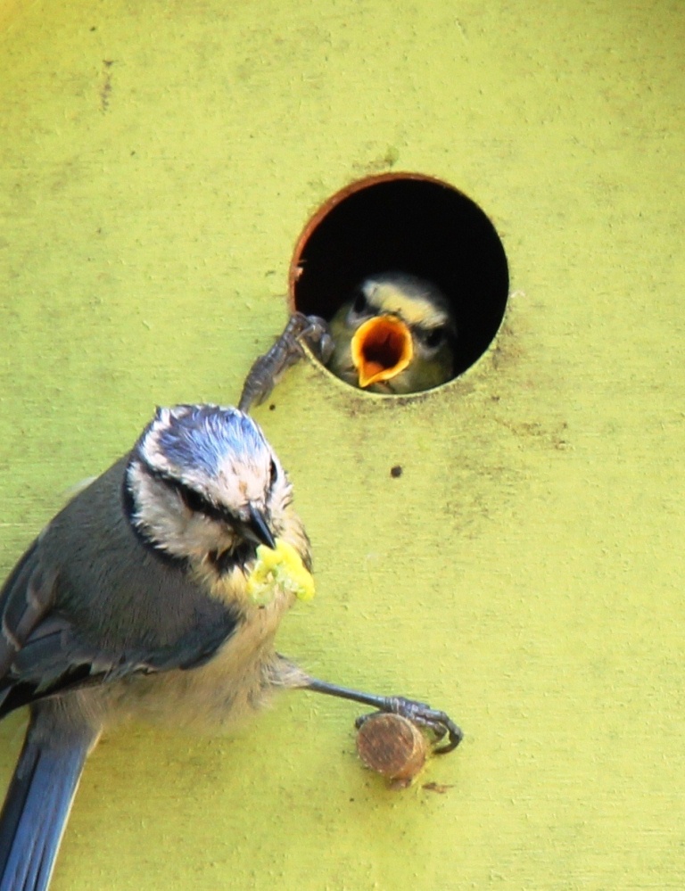HIER BEN IK MAMA...HIER ZOOO