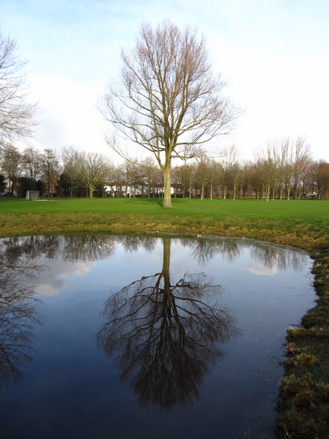 weerspiegeling