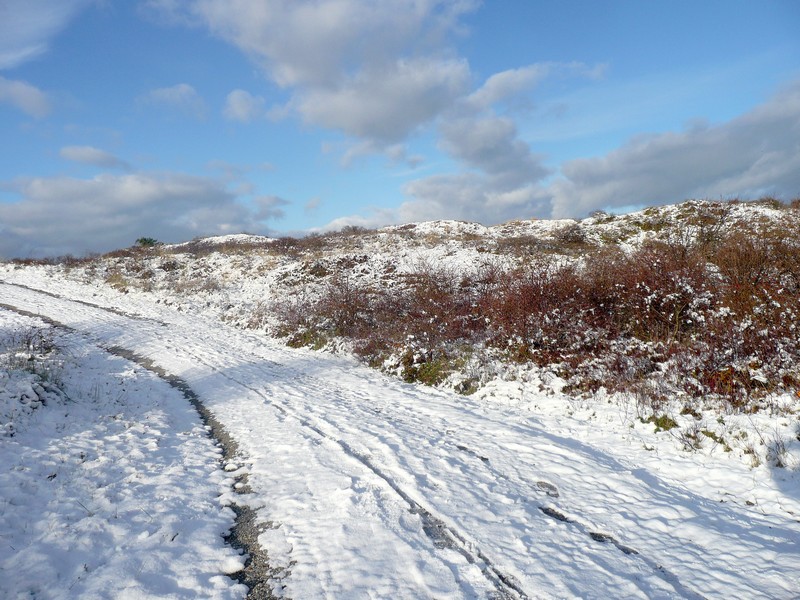 duingebied en schelpenpad Schiermonnikoog