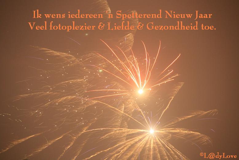Gelukkig Nieuw Jaar !