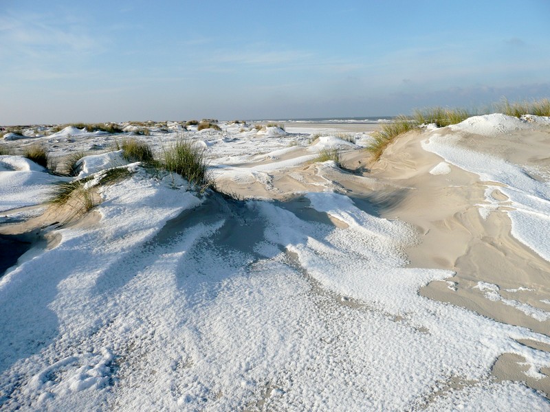 sneeuwduintjes op het strand van Schiermonnikoog