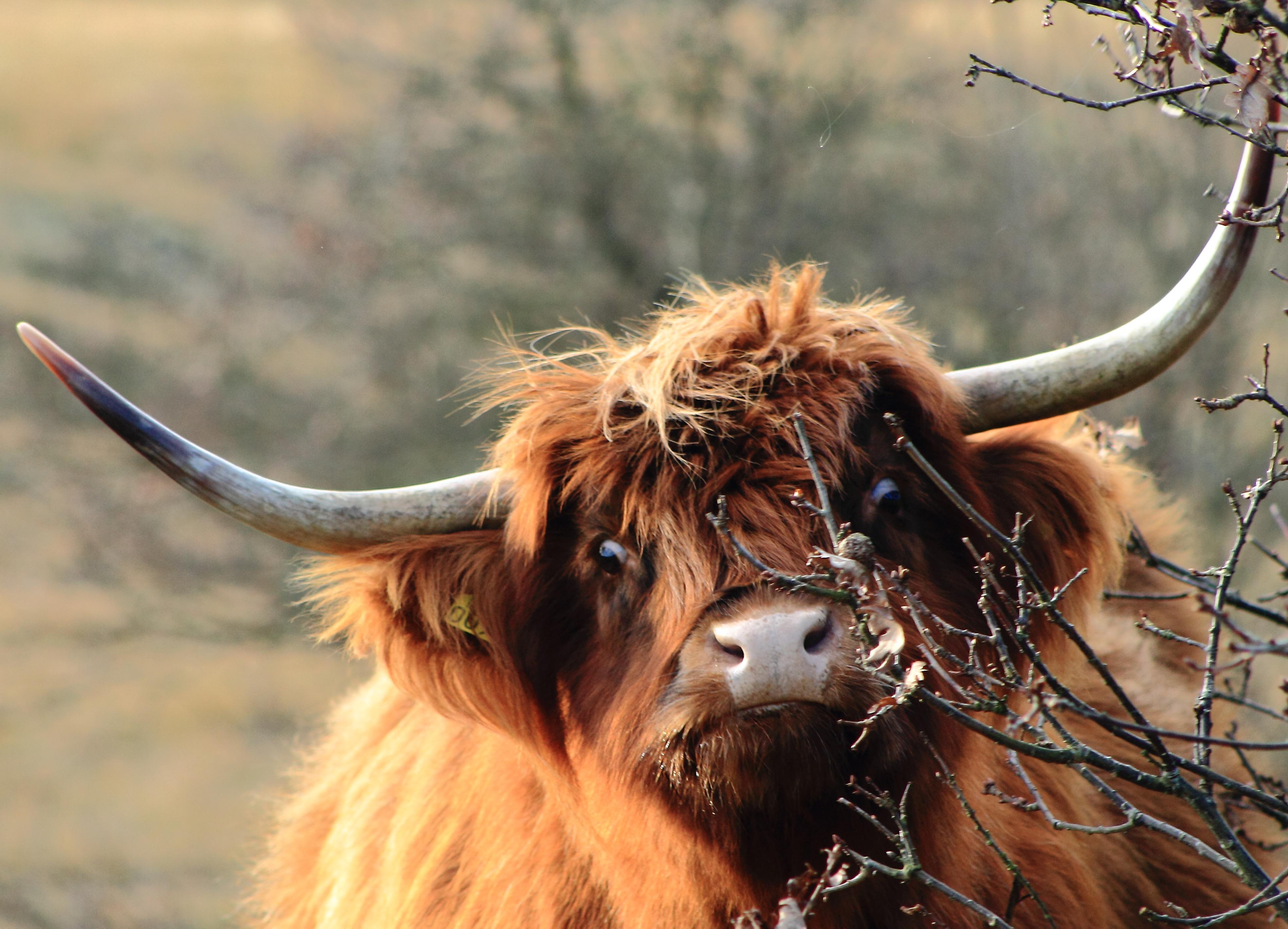 Doe even normaal man.