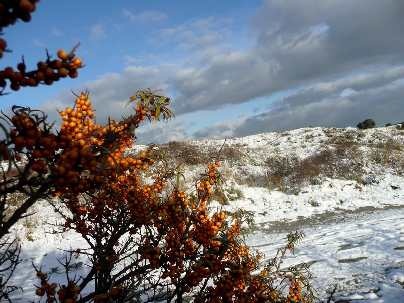 meer sneeuw in aantocht langs schelpenpad