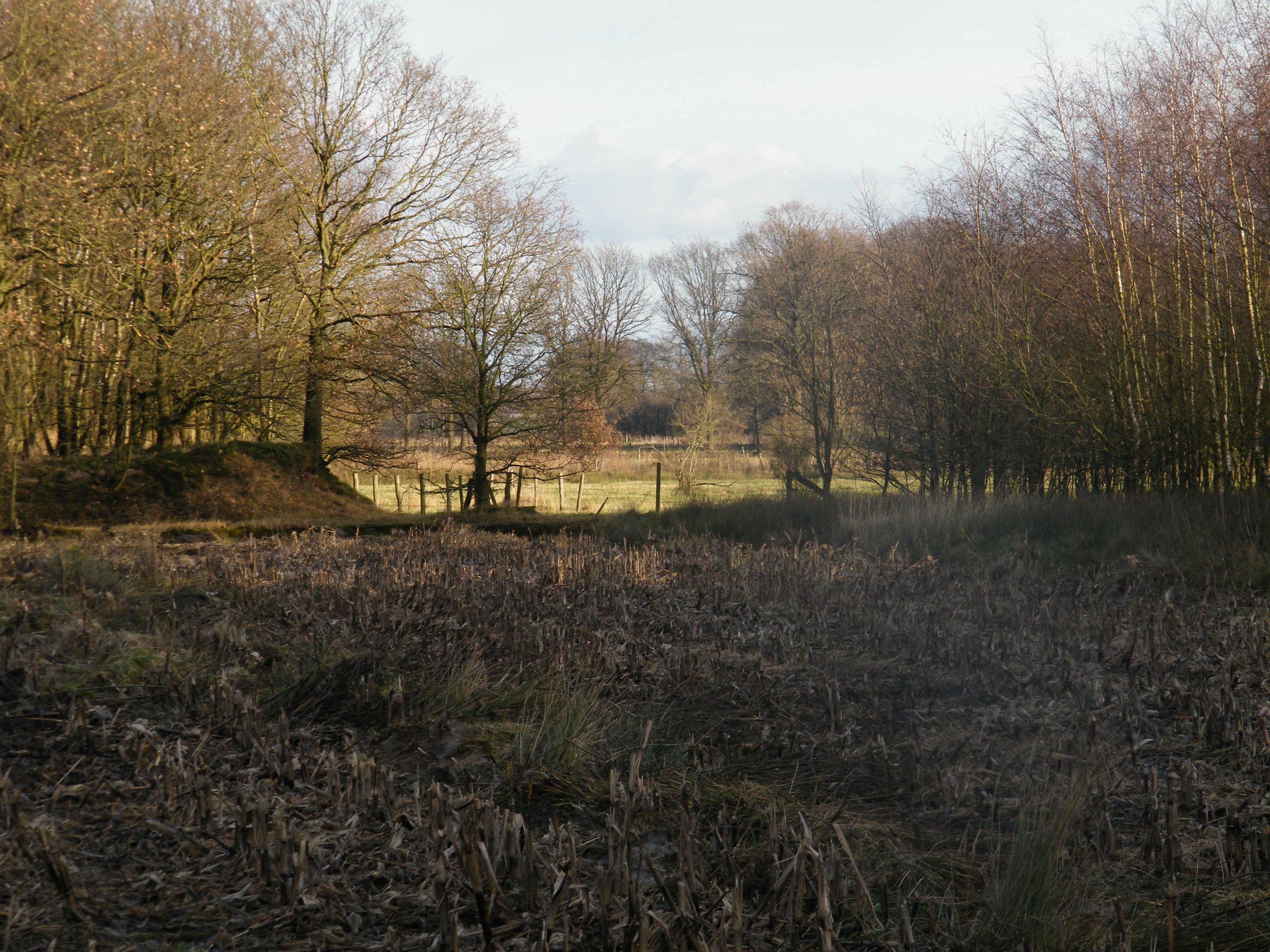 Zomaar een plekje in Brabant
