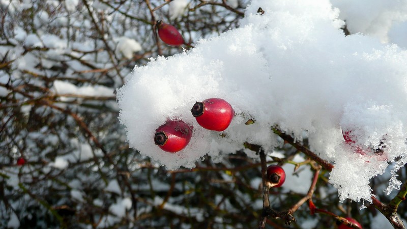 Samen onder het dekbed op Schiermonnikoog