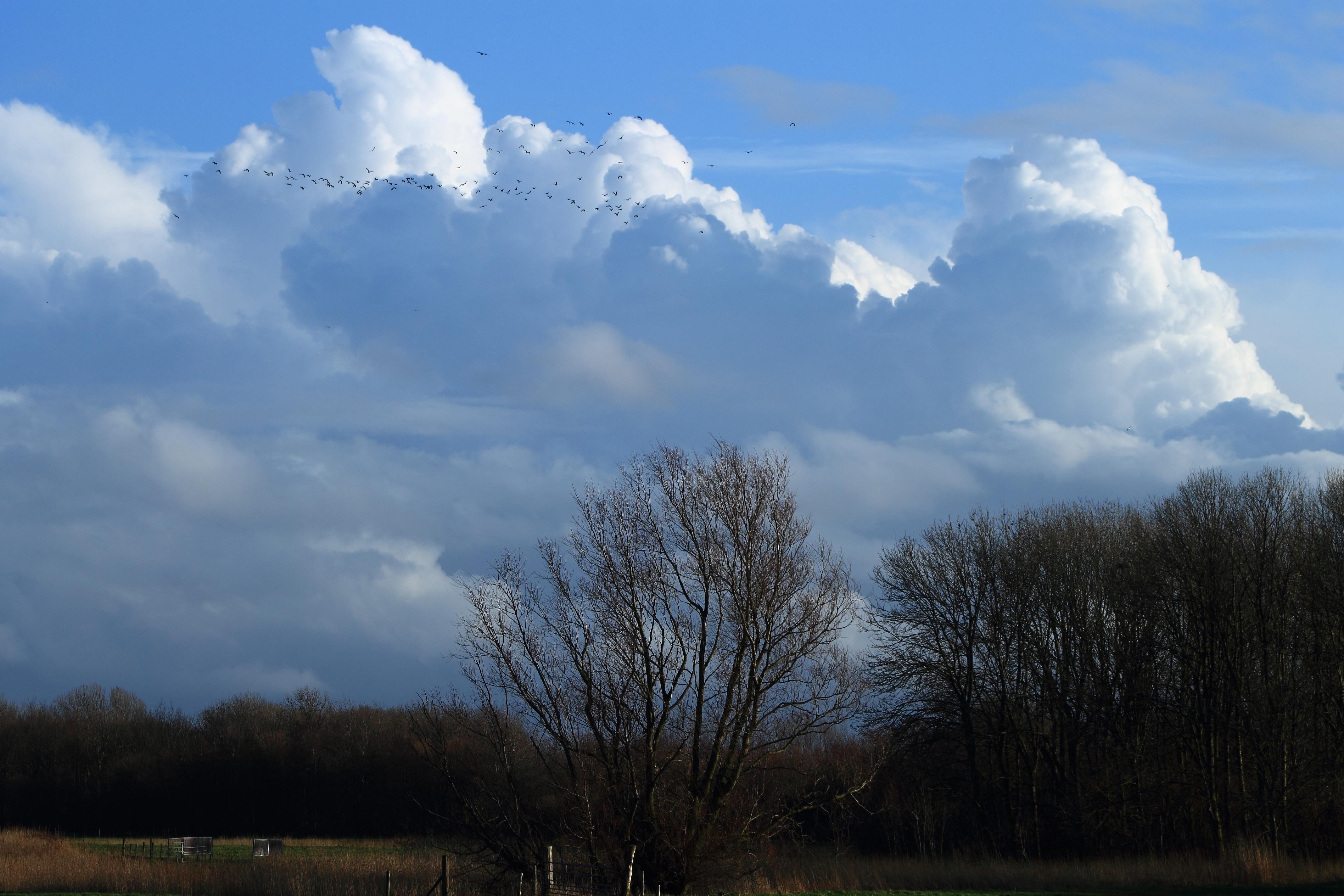 Wolken