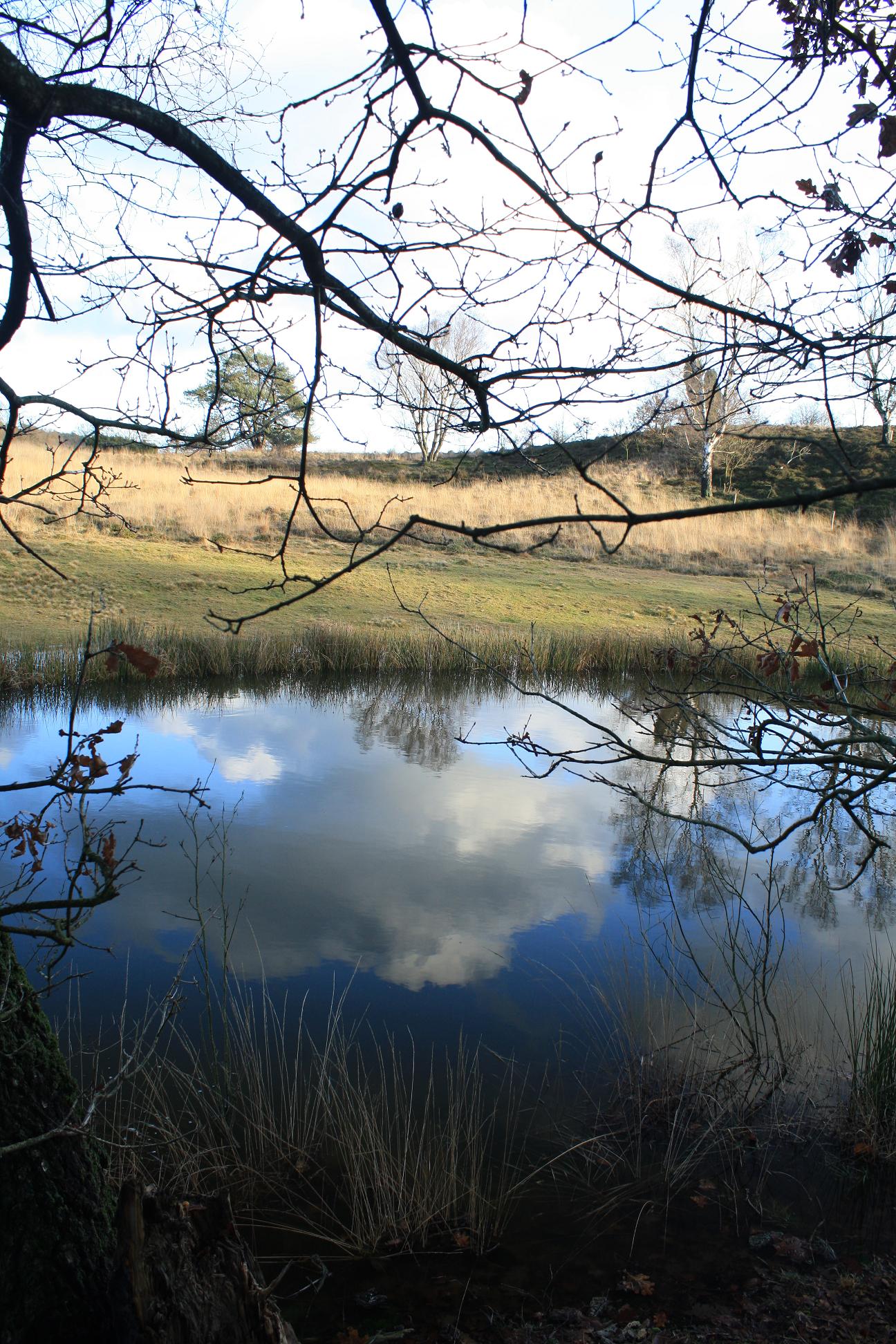 Weerspiegeling.