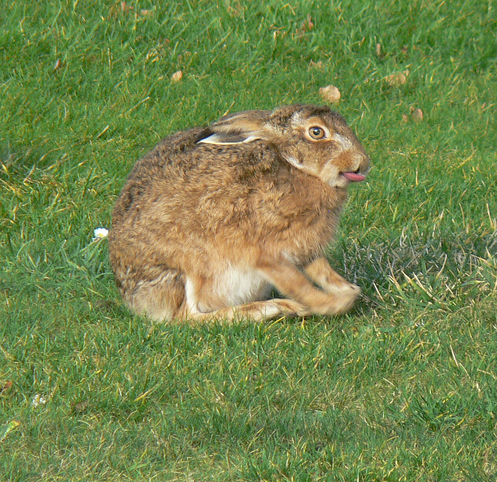 Ha ha, ik heb mooi de feestdagen overleefd!!!